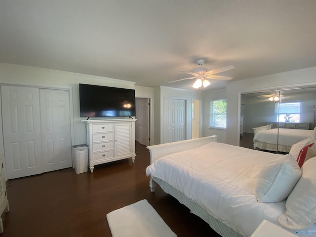 1702 Roseberry Dr, Scottsboro, AL 35769 - bedroom featuring ornamental molding, ceiling fan, multiple closets, and dark wood finished floors