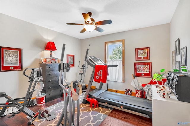 exercise area featuring ceiling fan and hardwood / wood-style floors