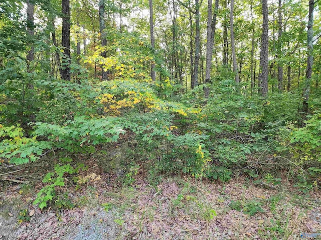 Listing photo 3 for 3.72ACRES County Road 14, Flat Rock AL 35966