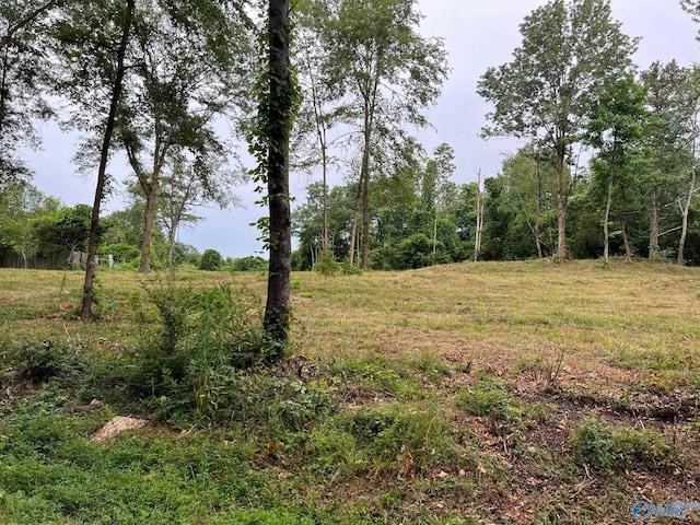 LOT4 Cherrywood Dr, Guntersville AL, 35976 land for sale