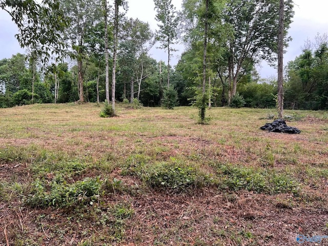 Listing photo 2 for LOT4 Cherrywood Dr, Guntersville AL 35976