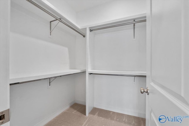 spacious closet with light carpet