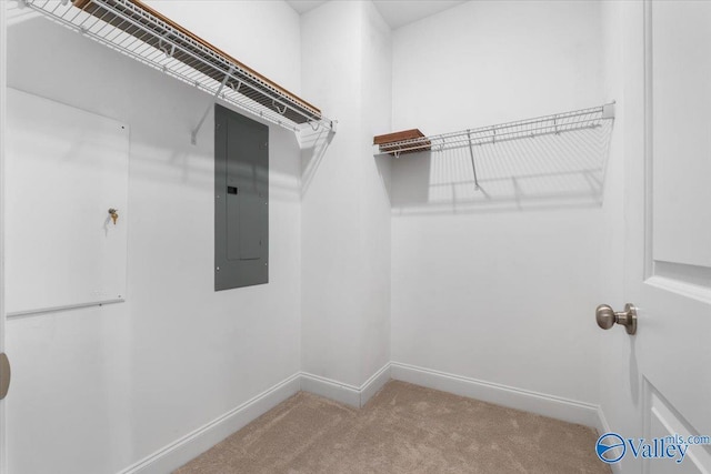 spacious closet featuring carpet and electric panel