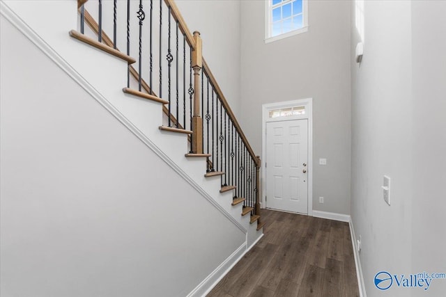 entrance foyer featuring a high ceiling and dark hardwood / wood-style flooring