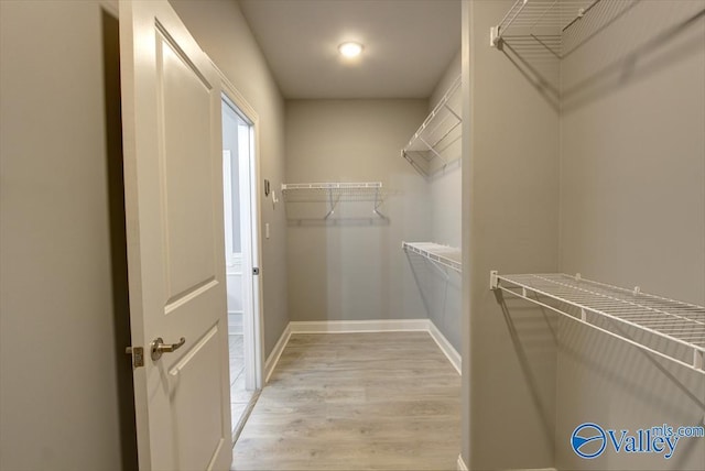 26415 Birkshire Ln, Athens, AL 35613 - walk in closet with light wood finished floors