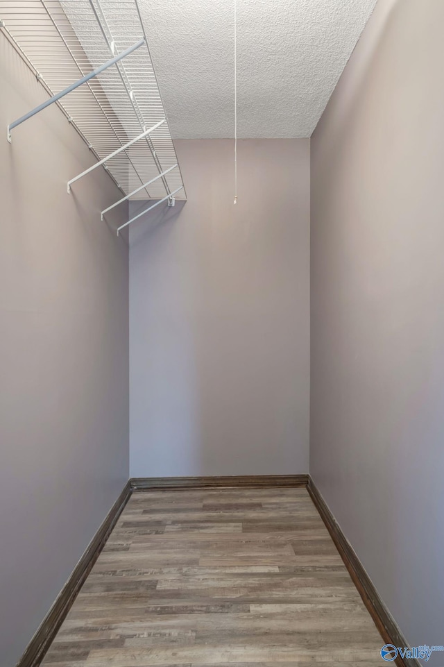 walk in closet featuring hardwood / wood-style flooring