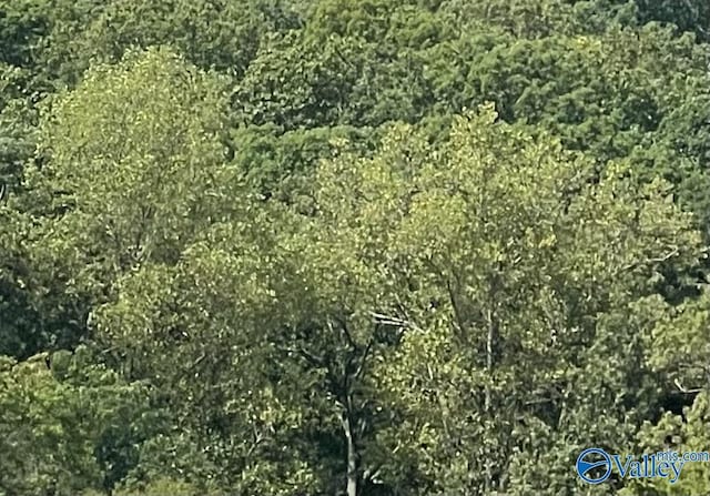 11ACRES Byrd Dr SE, Owens Cross Roads, AL 35763
