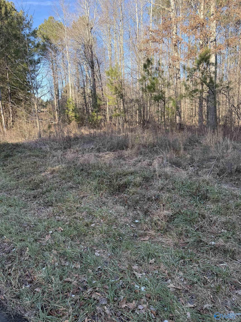 3.92 County Road 121, Valley Head, AL 35989