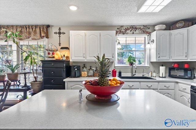 kitchen with plenty of natural light, white cabinetry, and sink