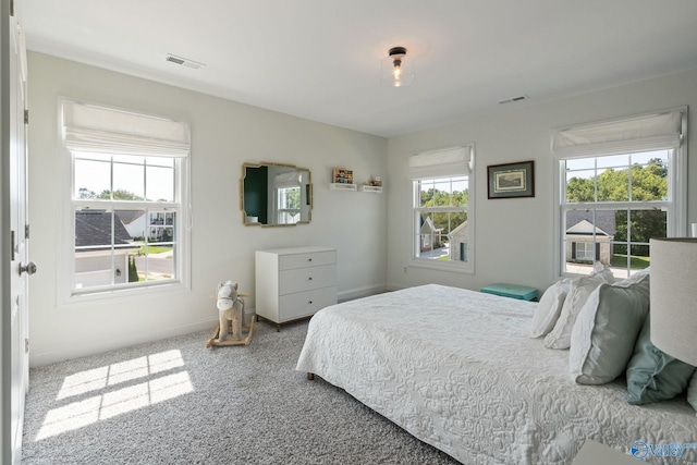 bedroom with carpet flooring