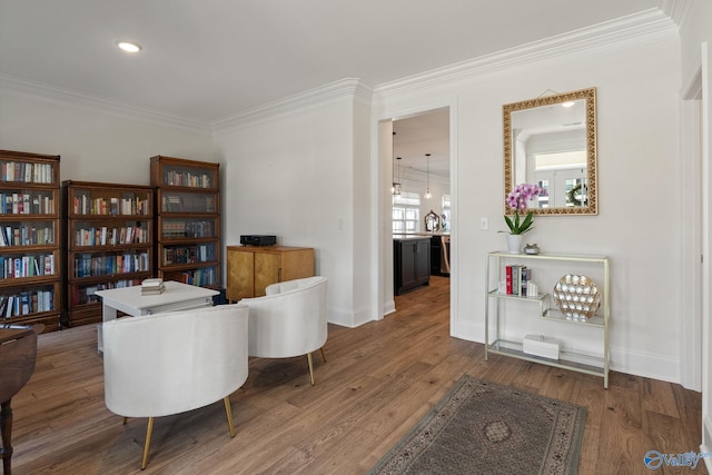 office space featuring dark wood-type flooring and crown molding