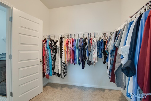4304 Adventura Dr, Owens Cross Roads, AL 35763 - spacious closet with carpet flooring