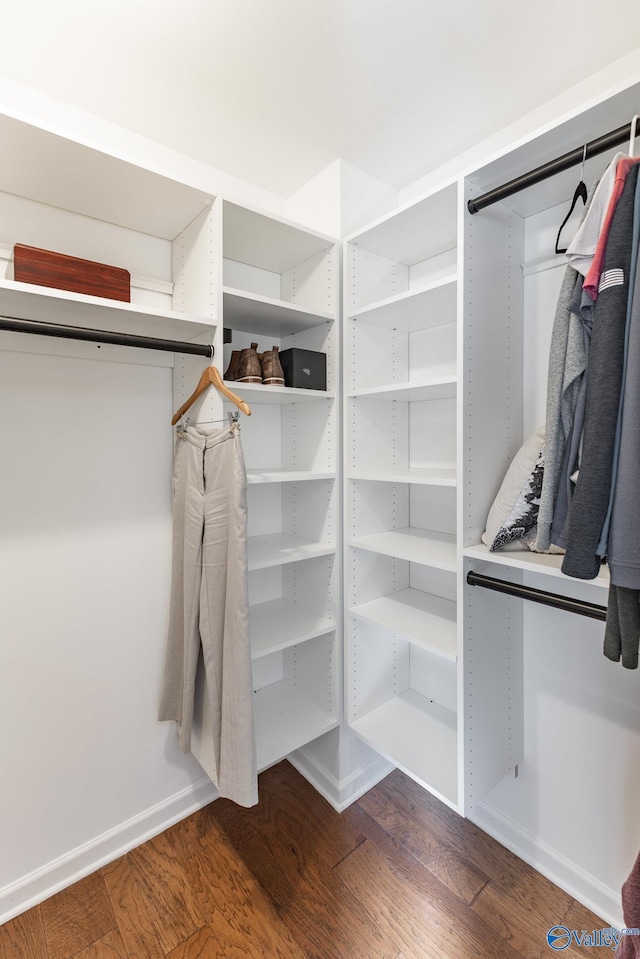 spacious closet featuring wood finished floors