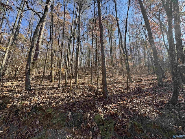 Listing photo 3 for 28ACRES County Road 917, Collinsville AL 35961