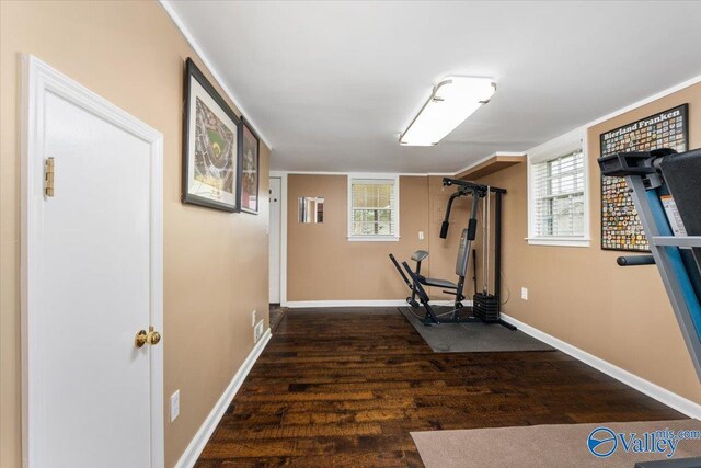 exercise room with crown molding, baseboards, and wood finished floors