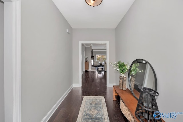 hallway featuring dark wood-type flooring