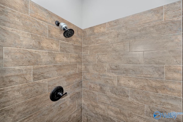 interior details with tiled shower