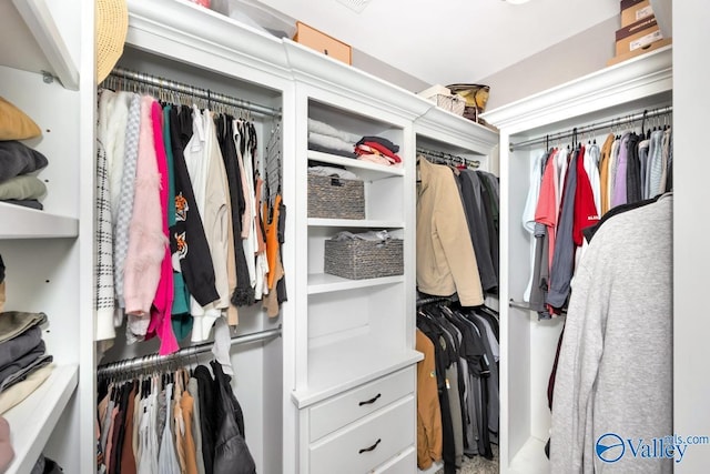 view of spacious closet