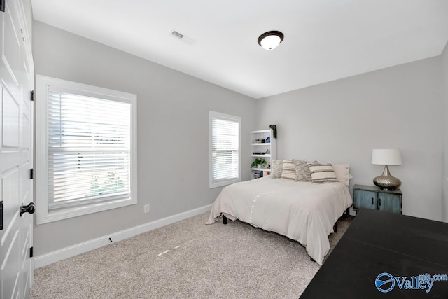 bedroom with carpet