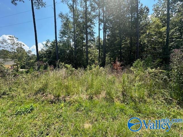 LOT7 Armstrong Rd, Cedar Bluff AL, 35959 land for sale