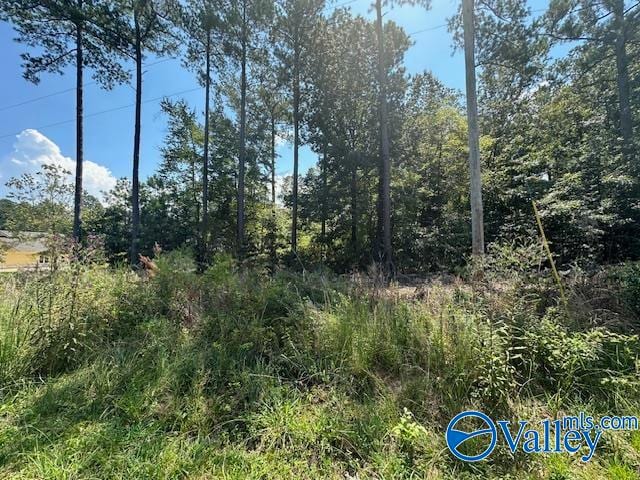 Listing photo 3 for LOT7 Armstrong Rd, Cedar Bluff AL 35959