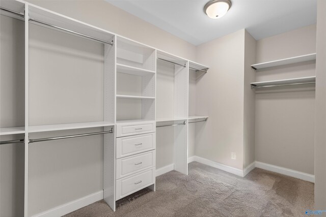 spacious closet with light carpet