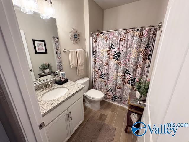 bathroom featuring toilet, vanity, a shower with shower curtain, and wood finish floors