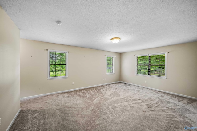 2211 Pumpkin Center Rd NE, Fort Payne, AL 35967 - empty room with healthy amount of natural light, carpet flooring, and a textured ceiling