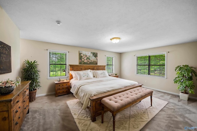 2211 Pumpkin Center Rd NE, Fort Payne, AL 35967 - bedroom with baseboards, light carpet, and a textured ceiling