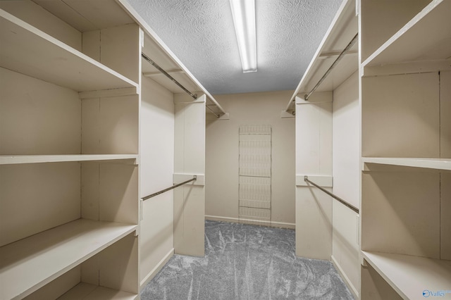 2211 Pumpkin Center Rd NE, Fort Payne, AL 35967 - spacious closet with carpet floors