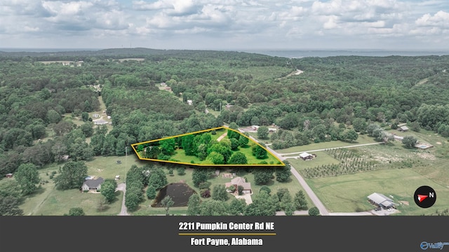 2211 Pumpkin Center Rd NE, Fort Payne, AL 35967 - aerial view of sparsely populated area featuring a forest and property parcel outlined