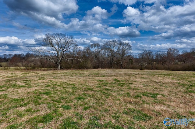 34ACRES County Road 656, Anderson AL, 35610 land for sale