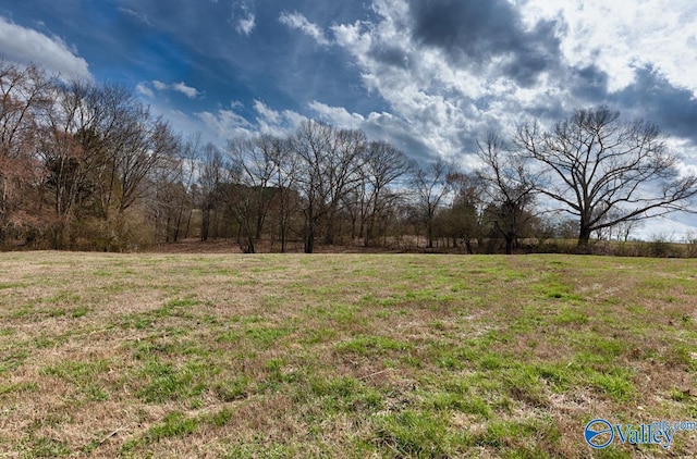 Listing photo 3 for 34ACRES County Road 656, Anderson AL 35610