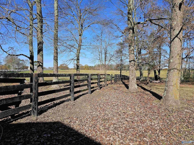 view of yard with a rural view