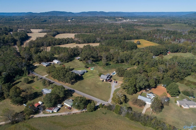 bird's eye view with a mountain view