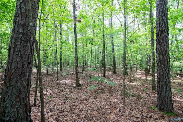 1.6 Norris Mill Rd, Hartselle, AL 35640