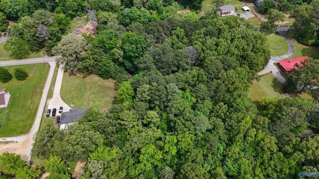 1.6 Norris Mill Rd, Hartselle, AL 35640