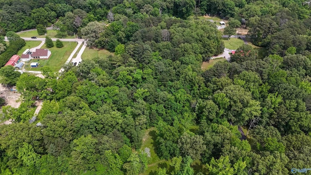 1.6 Norris Mill Rd, Hartselle, AL 35640