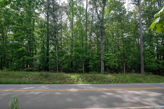 1.6 Norris Mill Rd, Hartselle, AL 35640