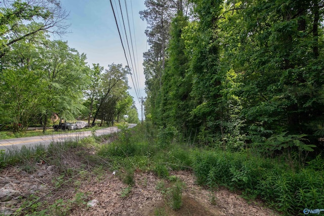 1.6 Norris Mill Rd, Hartselle, AL 35640