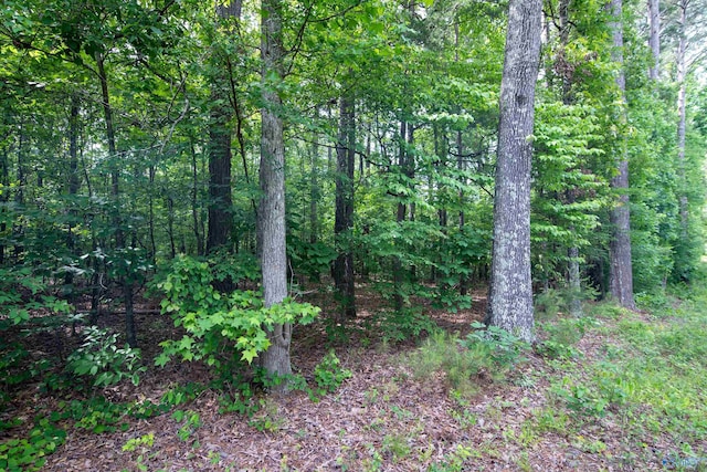 1.6 Norris Mill Rd, Hartselle, AL 35640