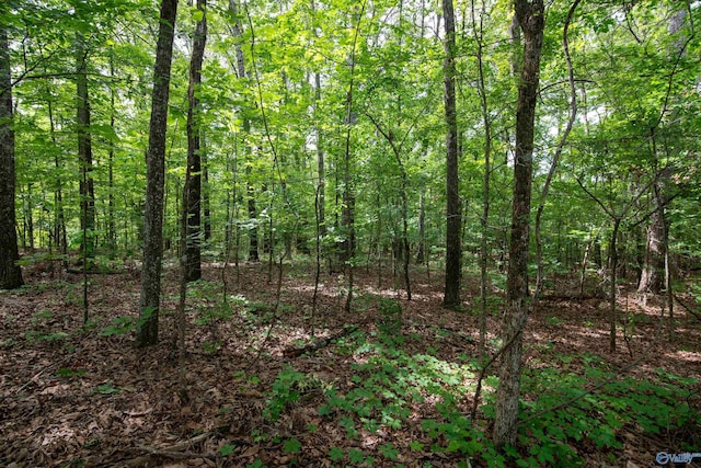 1.6 Norris Mill Rd, Hartselle, AL 35640