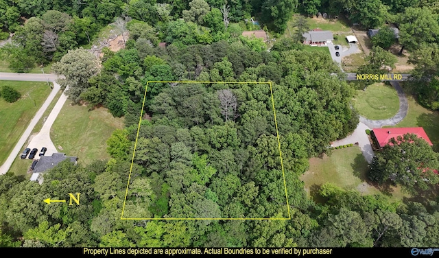 1.6 Norris Mill Rd, Hartselle, AL 35640