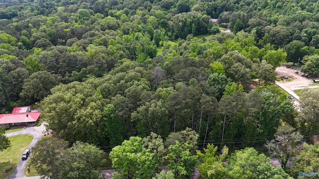 1.6 Norris Mill Rd, Hartselle, AL 35640