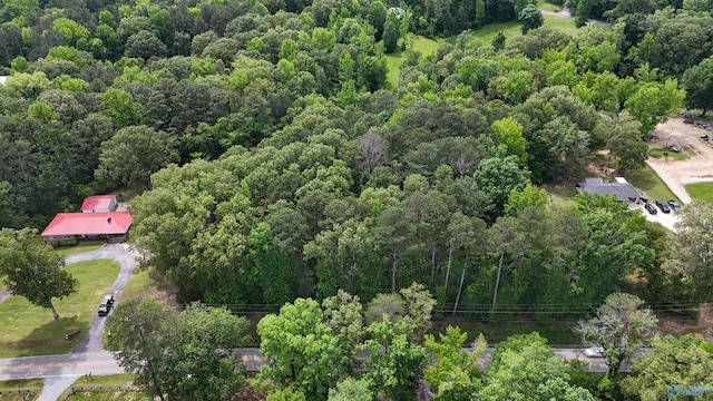 1.6 Norris Mill Rd, Hartselle, AL 35640
