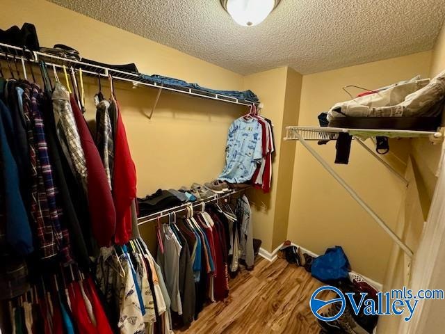 walk in closet with hardwood / wood-style flooring