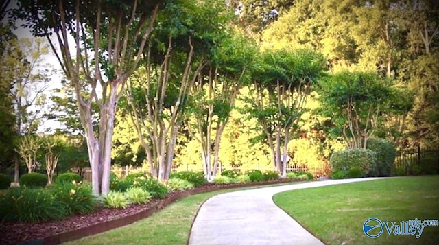 surrounding community with a lawn