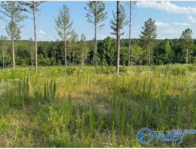 1 County Road 62, Gaylesville AL, 35973 land for sale