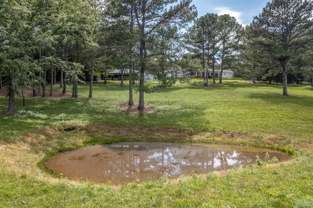 view of yard with a water view