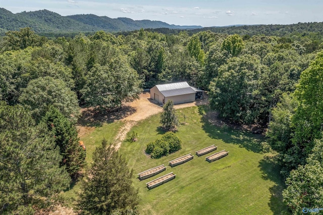 bird's eye view with a mountain view